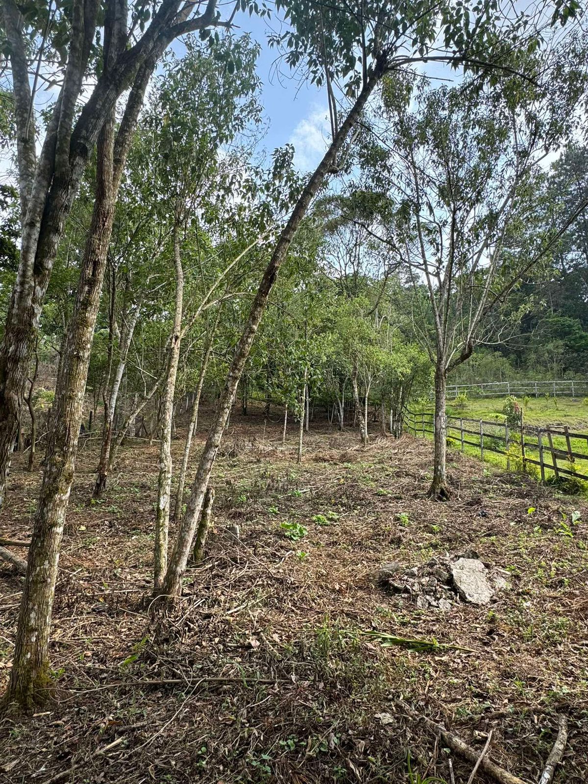 Terreno de 4.5 Cuerdas - Servicios Instalados - Documentación en Orden